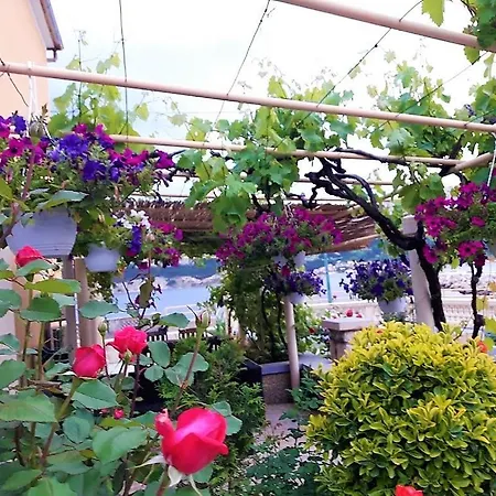 Guest House Villa Baska 3* Baska (Krk)