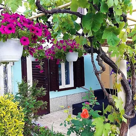 Guest House Villa Baska 3* Baska (Krk)