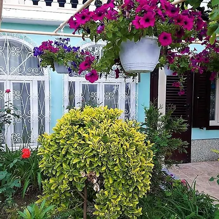 Guest House Villa Baska Baska (Krk)