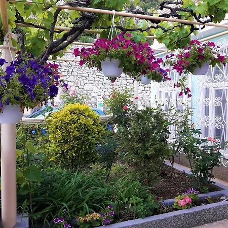 Guest House Villa Baska Guest house