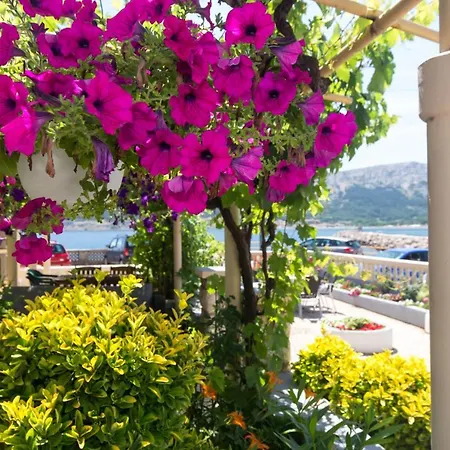 Guest House Villa Baska